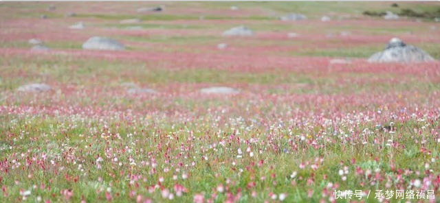 “稻城古冰帽”，梦幻雪山中的沙滩海子