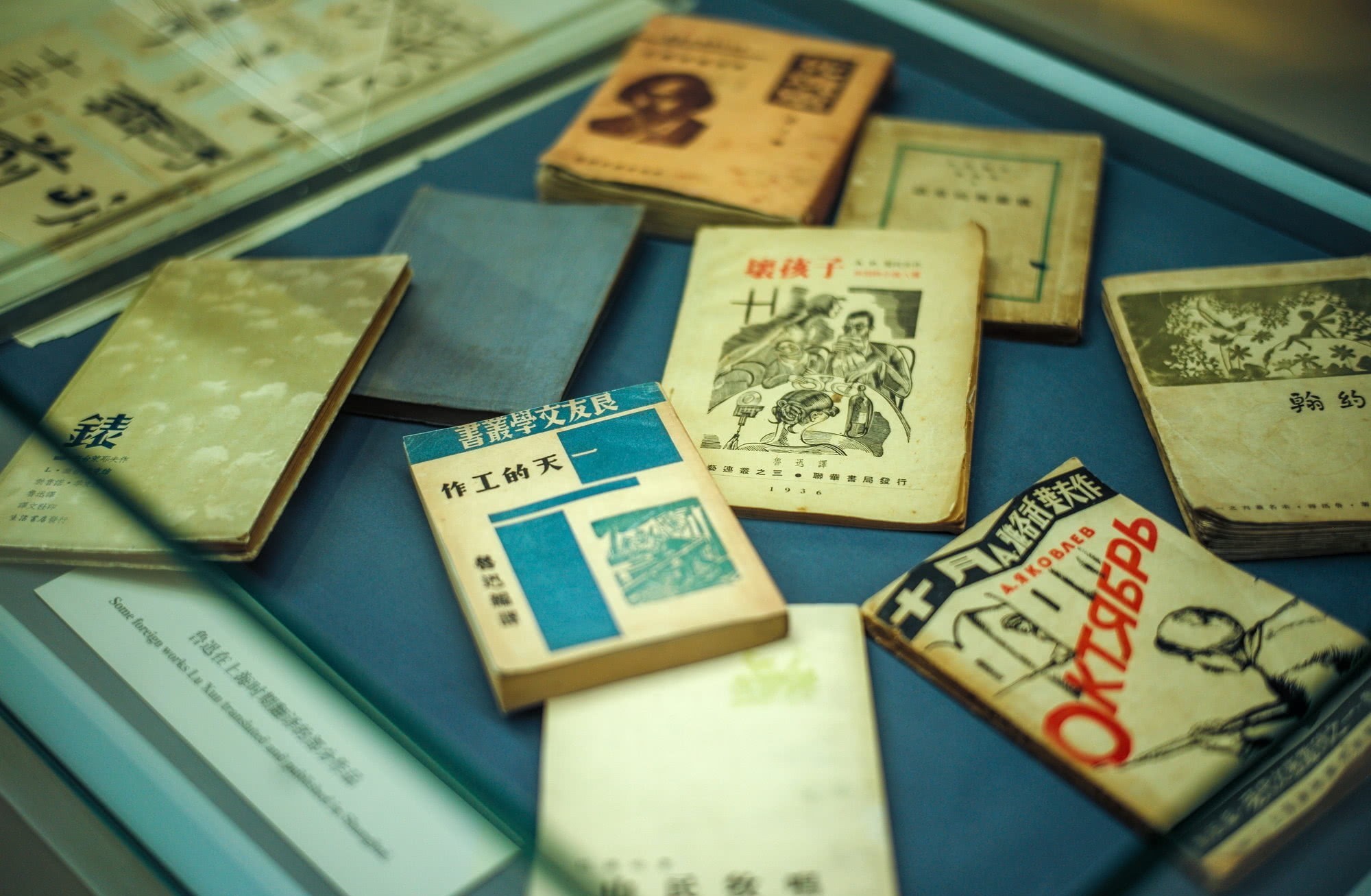 小巷|这小巷中两棵枣树有何神奇,众人争相参观,还引发百年争议