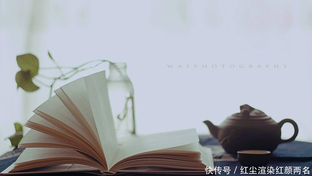 1年读200本书,日更700天,我是如何做到的?