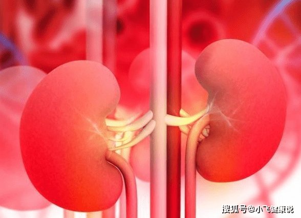 蛋白尿|肾病好转有3个标准，若全都符合，说明尿毒症不会缠上你