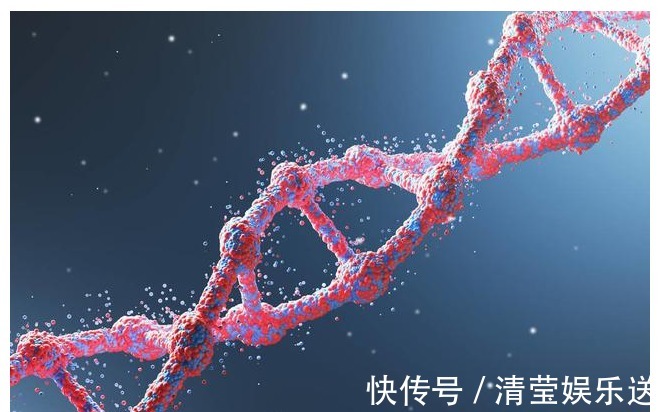小孩|辟谣小孩长不高是缺钙，一定要坚持吃钙片医生告诉你真相