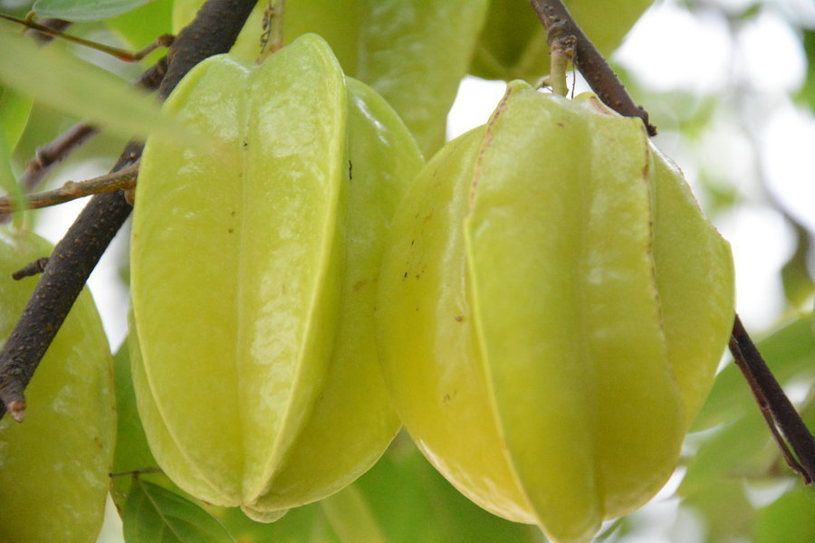 心脑血管|水果是糖尿病患者的禁忌其实不然,这5种水果可以放心吃!