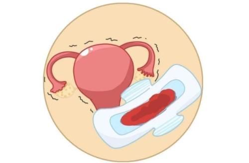 旺盛|雌激素“旺盛”的女人，或许有这5种表现，你若都有，那值得开心