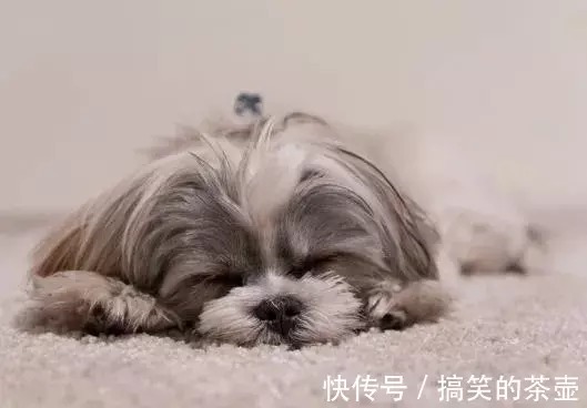 |送你5个绝版笑话，发给大家乐一乐