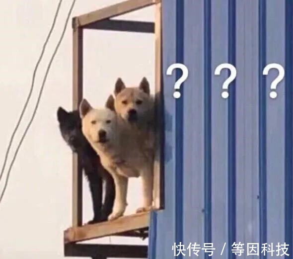 小乐|胎记长在哪里最有福气恕我直言,2种胎记长哪都可能是祸根