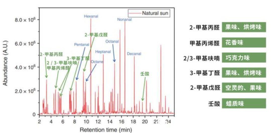 蠕形螨|晒被子后有“太阳味”，源于被烤焦的螨虫？科学家：是太阳的功劳