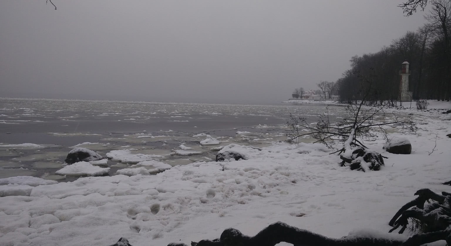 苏联|德军在莫斯科冻死10万余人,为啥不抢苏联人棉衣?斯大林留了一手