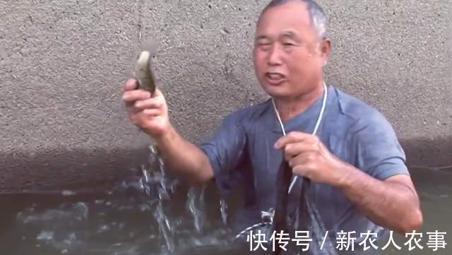 六旬大爷自创抓鱼独门绝技,10分钟脚踩22条,收获远超专业钓鱼人