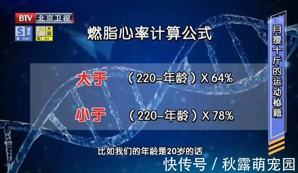 热量|2个鸡爪,热量堪比2.5碗米饭!减肥期间,这些食物可能会越减越肥