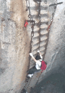 |搞笑GIF:妹子,养你有点害怕,虽然成本不算太高