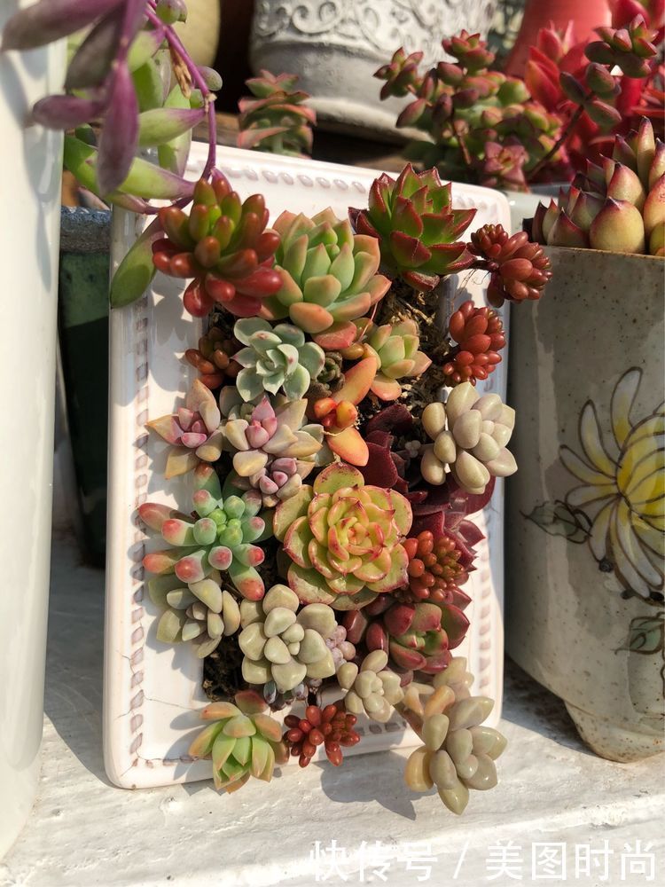 阳台|DIY改造17㎡屋顶花园，忙得不亦乐乎，在喧嚣城市打造一隅静谧