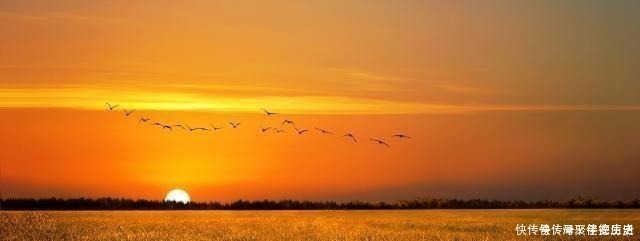 蜀道难&天下第一骈文,全文773字包含40个成语,句句都是绝唱