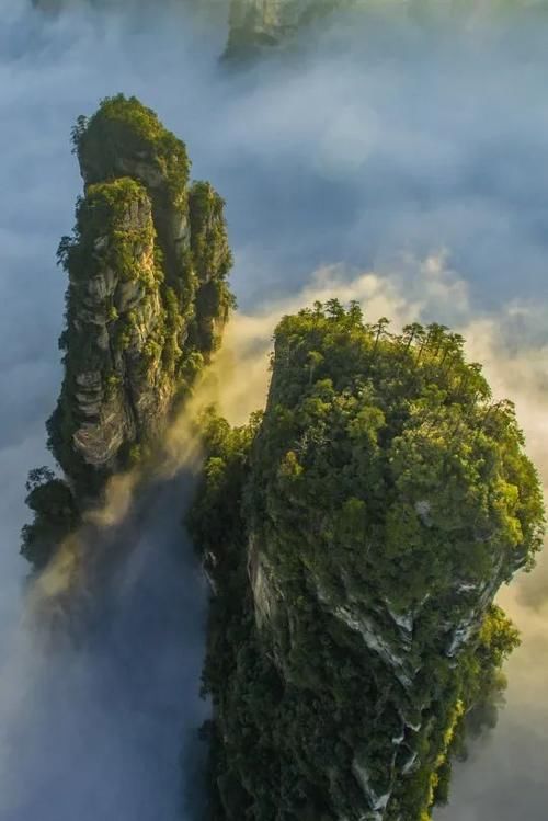 一场春雨，将张家界武陵源泼成了一幅幅山水画