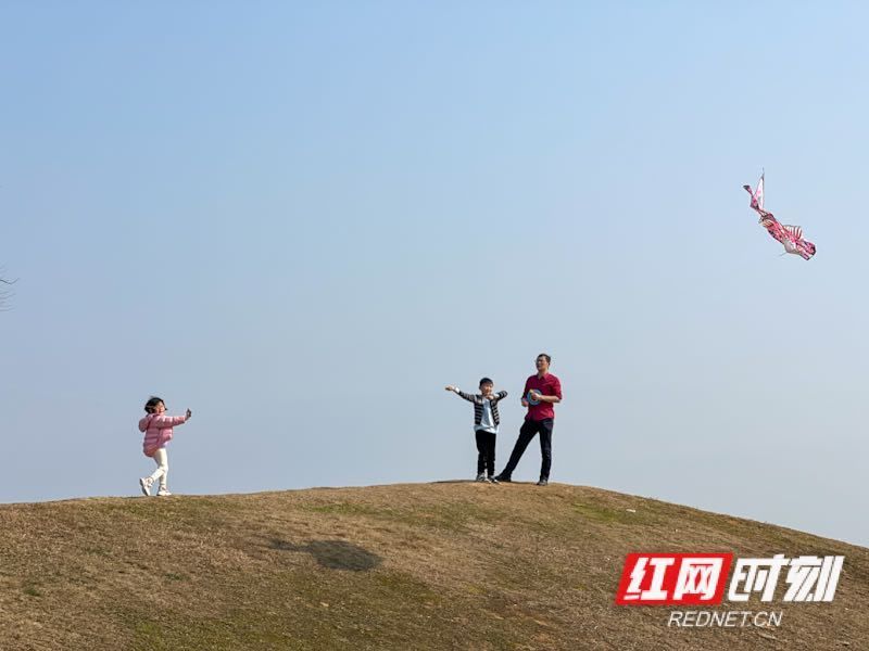 湖南人|壮观！太阳一出来，草地上就“长”满了快发霉的湖南人