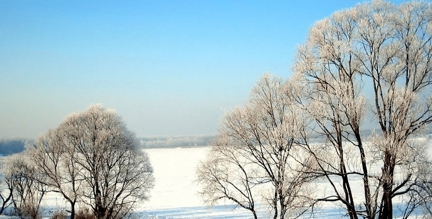金牛座|今生不能错过的四大星座,狮子上榜了,天蝎意料之中