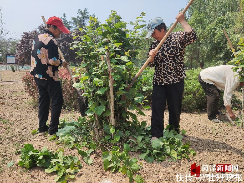 乡村|郓城县大杨庄村：深挖黄河文化，产业兴旅游旺带动村富民强