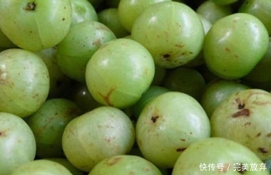 喜欢|吃货最喜欢的水果,长得丑还卖的贵,尤其是第四种!