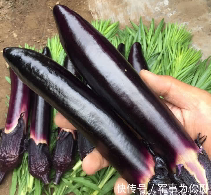 养颜|女性吃的好食物,男女多吃点,排毒养颜,美白抗衰老,身材好了