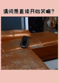 |搞笑GIF段子:不是说女追男隔层纸吗?这也太好追了吧,哈哈哈哈