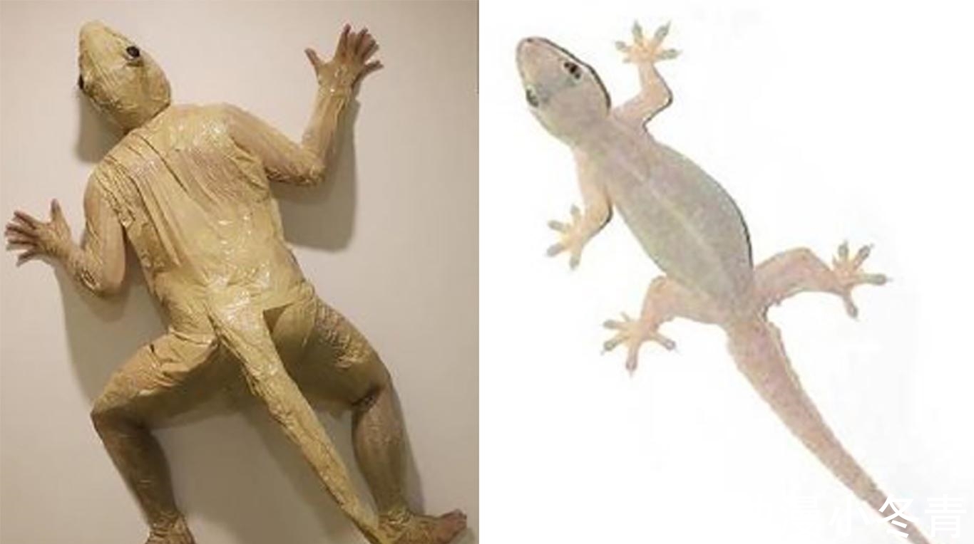 小哥|泰国小哥的COS越来越出圈,二次元已经没有难度,万物才是极限