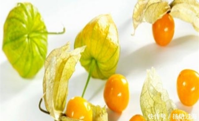 野草|提醒:在农村见到此野草,一定要带回家,好处很多,作用非常大