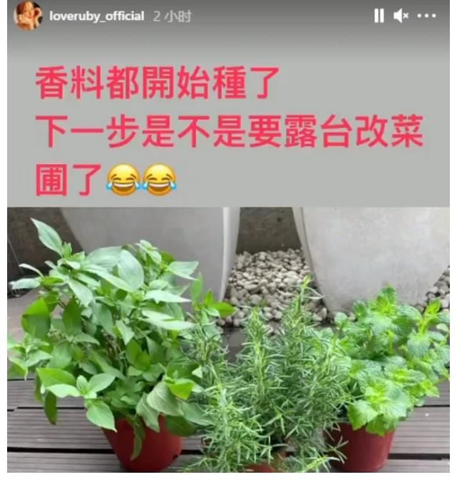 小海豚|林心如再秀廚藝，變著花樣給老公女兒做美食，霍建華父女太有口福