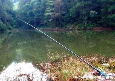 饵料|大鱼只有4种情况下才到浅水,多注意以下细节,才有机会钓到大鱼