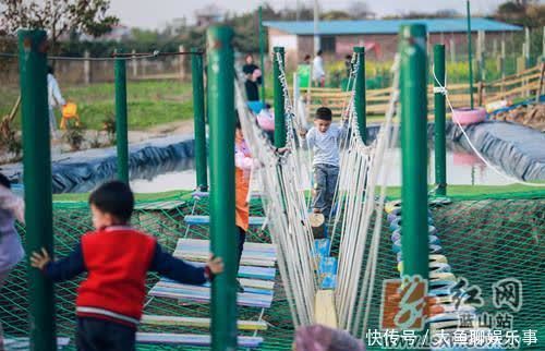 赏花|蓝山:新春乡村游 乐享好时光