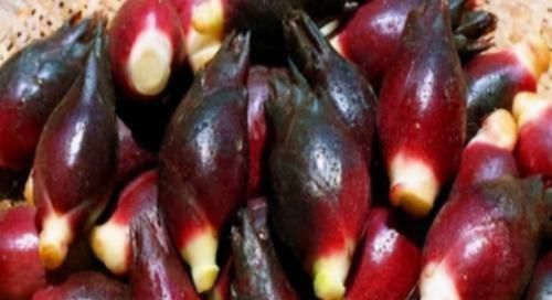 致癌物解毒酶|女性不想变黄脸婆，推荐常吃3种食物，去除皱纹、抵抗衰老