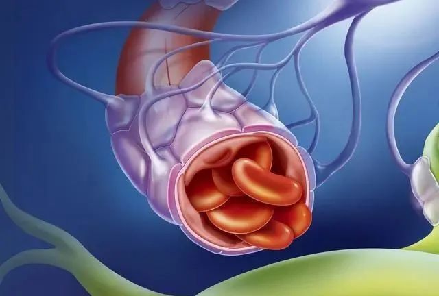 血脂升高|血脂高不高,看脸上三个地方就知道,降血脂四种食物一口别吃