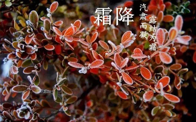 养生|今日霜降，区第三人民医院医生提醒：秋季养生有妙招