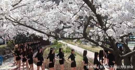 女大学生|韩国整容术全球闻名,那天然美女长啥样看韩国女大学生就懂了