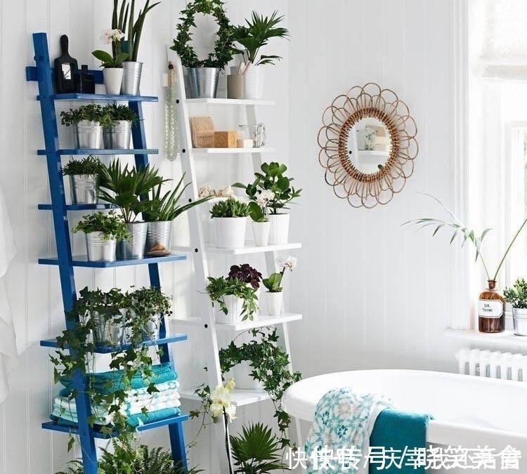 媳妇儿，你把卫生间都种成了花园，人家都不好意思在里面蹲坑了！