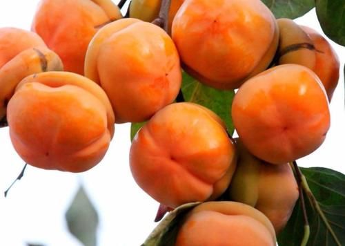 月经期间|子宫“最怕”4种水果,医生建议少吃,保养子宫或可坚持2个习惯