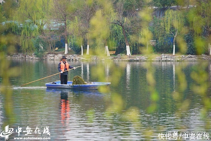 合肥迎惊蛰节气 杏花公园春和景明(组图)