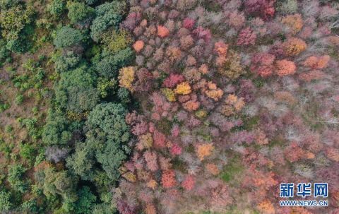 北京颐和园|五彩岭南