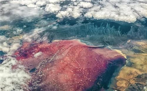 石头|非洲一处红色的湖泊,被称为“血湖”,生物与其接触会变成石头