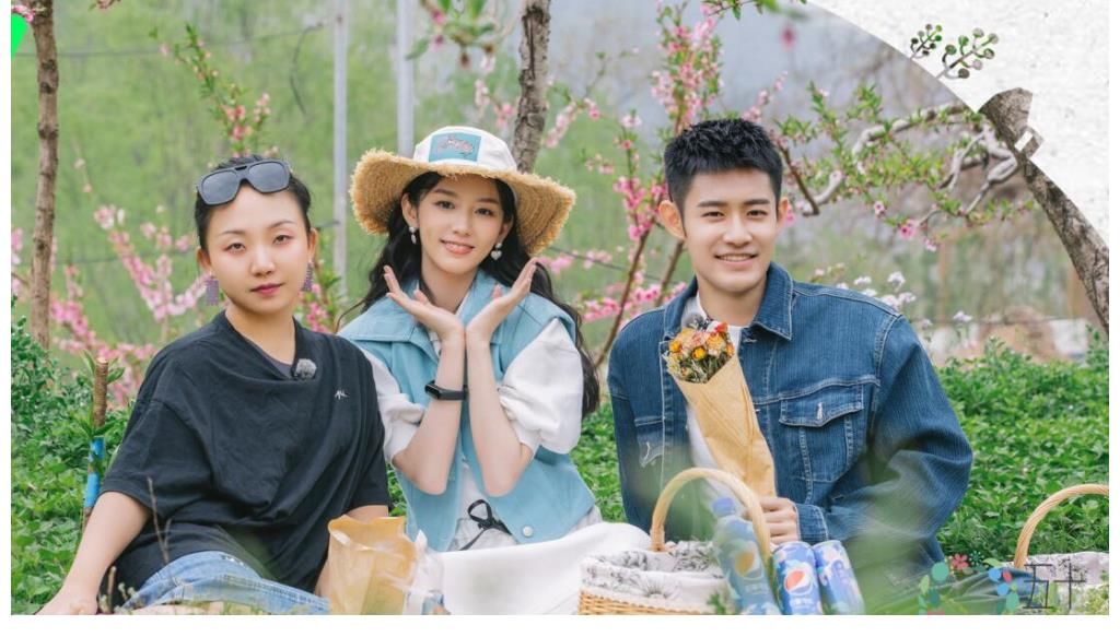 节目|因为一个神秘人的存在，这档收视率越来越高的综艺注定尴尬到收官