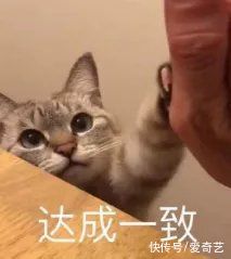 二次元|舞蹈生全力備戰(zhàn)合作舞臺，卻遇新賽制開啟競爭模式，將有A角無緣舞臺？