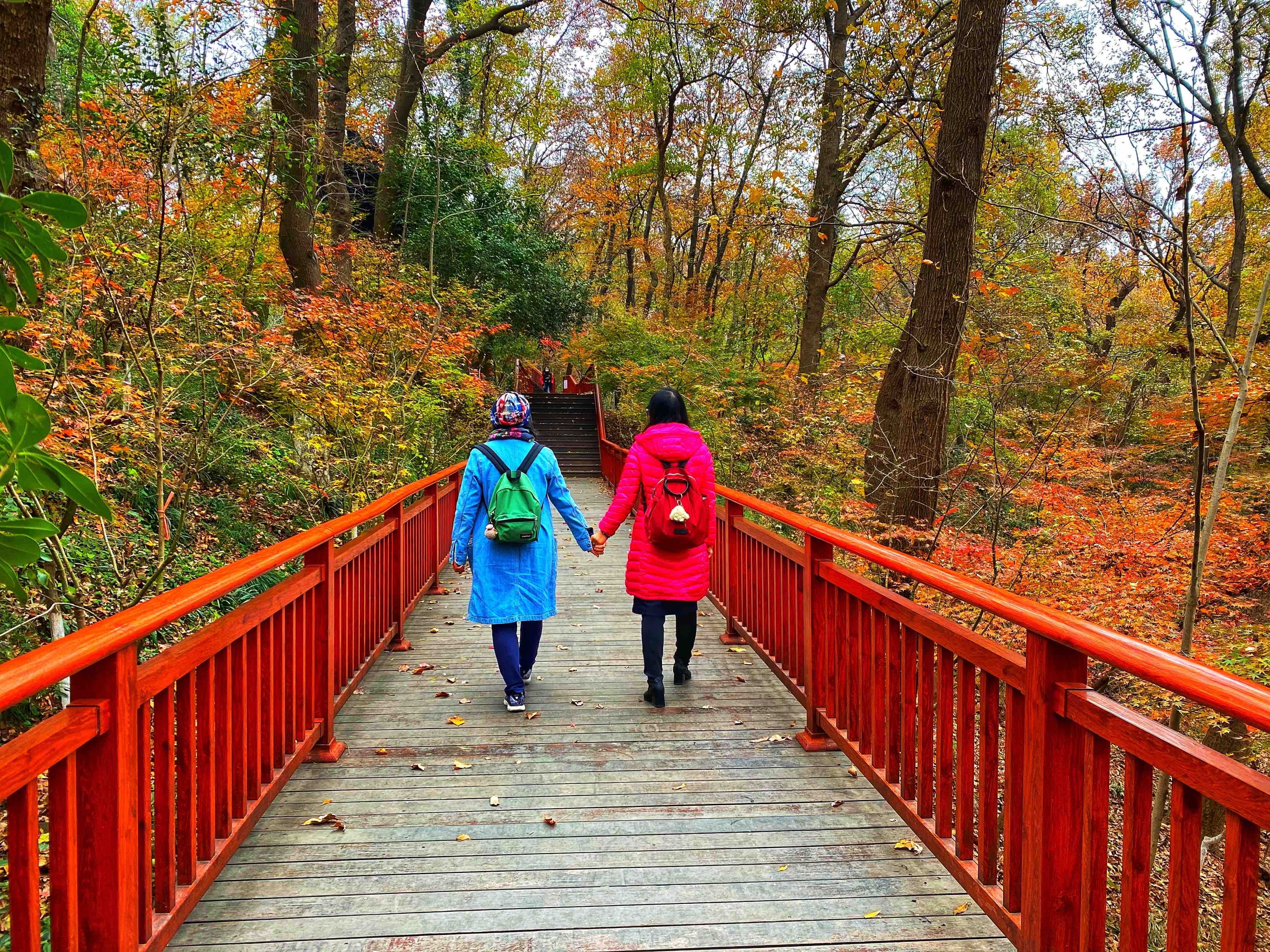 到栖霞山赏|初冬的南京栖霞山，来一场色彩斑斓的旅行