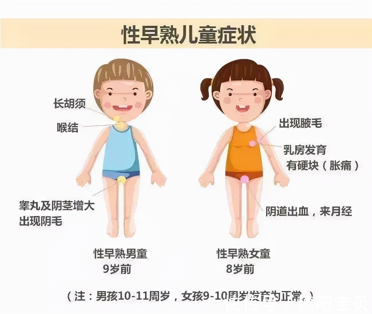 电子产品|天使讲堂:孩子早发育怎么办?带您聊聊性早熟!