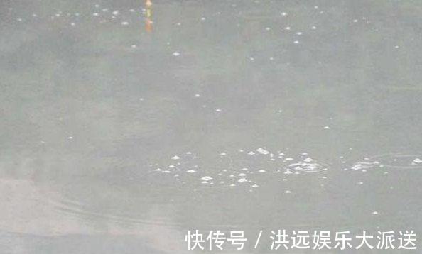 钓鱼|夏季钓鱼钓位很关键，不想当空军就别频繁换钓位！
