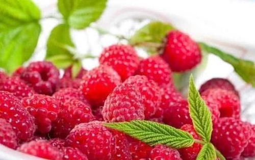 食物|想长寿全靠吃，不妨多吃3种食物，润肺养颜