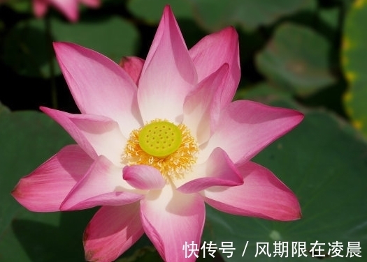 财运|9月中旬，4属相财运上上签，事业棒桃花旺，生活富足无忧