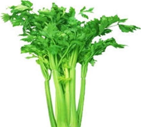 降压法|家里“老人”有“高血压”的教你几种食疗降压法