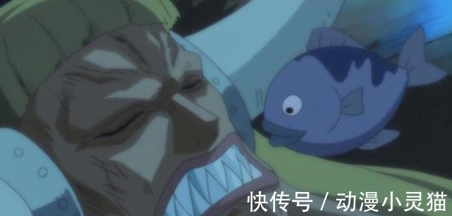 龙龙|海贼王：尾田为何把凯多设定成鱼鱼果实？一颗恶魔果实填了三个坑