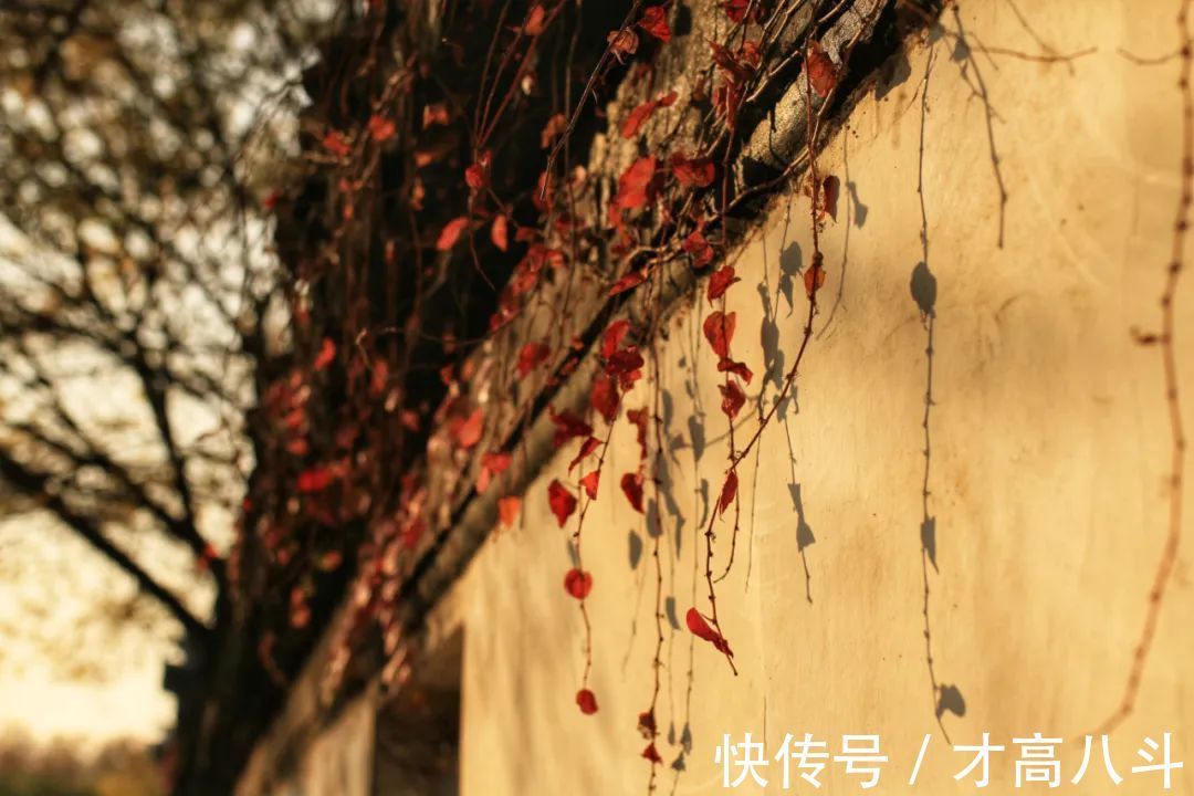 白居易$有一种诗词,叫“想你了”