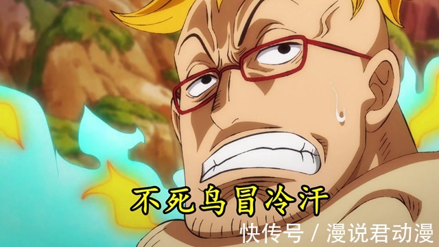 长子|海贼王1008集:四皇大妈联合长子群殴马尔科,不死鸟冒冷汗