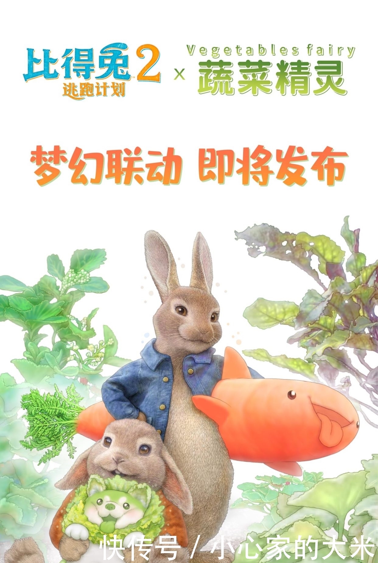 电影|比得兔与菜狗梦幻联动 《比得兔2:逃跑计划》周五上映治愈来袭