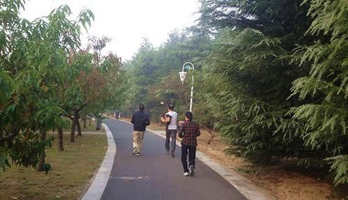 睡眠质量|跑步好处太多了,到底是夜跑好,还是晨跑好?医生一文解释清楚